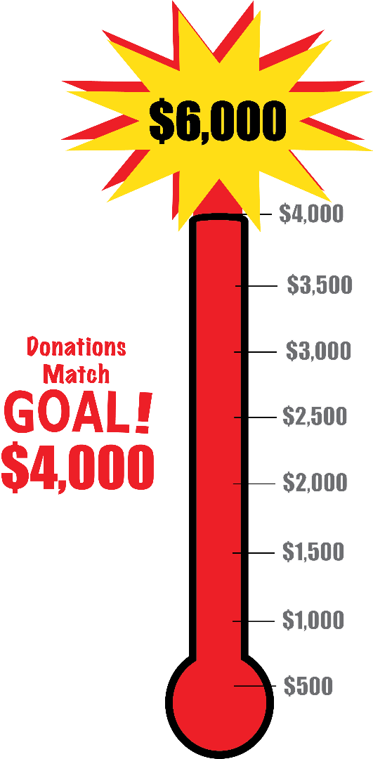 Donations Match Goal FINAL.png