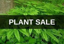Annunciation Respect Life Online Plant Sale