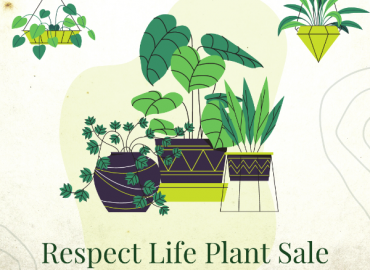 Respect Life Plant Sale